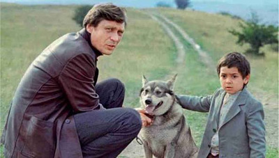 Комментарий с изображением на AdMe.Media