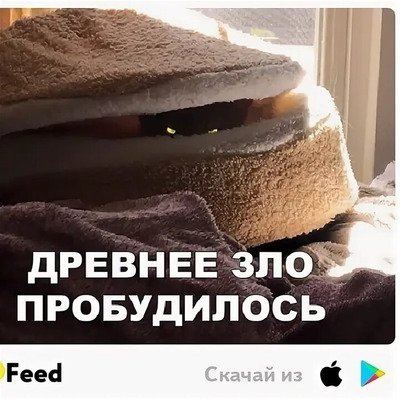 Комментарий с изображением на AdMe.Media