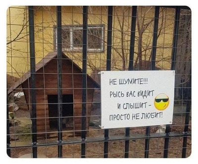 Комментарий с изображением на AdMe.Media