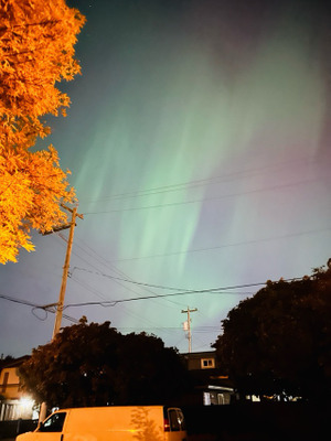 Комментарий с изображением на AdMe.Media