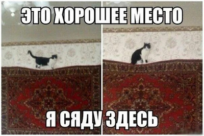 Комментарий с изображением на AdMe.Media