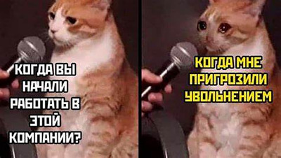Комментарий с изображением на AdMe.Media