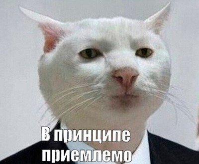 Комментарий с изображением на AdMe.Media