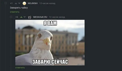 Комментарий с изображением на AdMe.Media