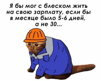 Комментарий с изображением на AdMe.Media