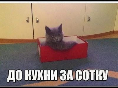 Комментарий с изображением на AdMe.Media