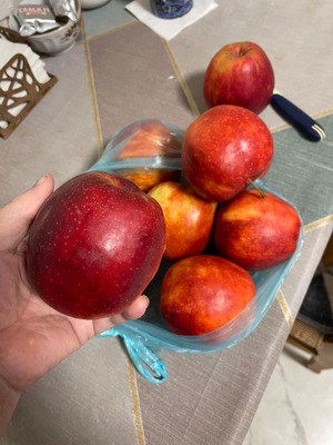 Комментарий с изображением на AdMe.Media