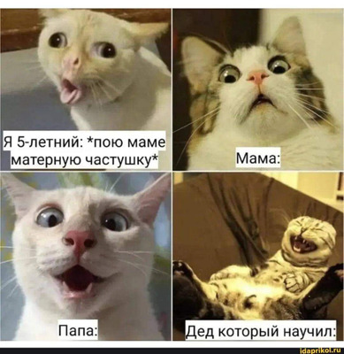 Комментарий с изображением на AdMe.Media