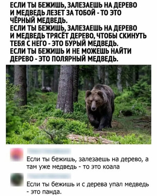 Комментарий с изображением на AdMe.Media