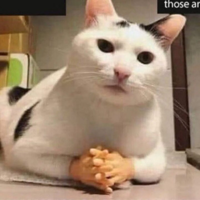 Комментарий с изображением на AdMe.Media