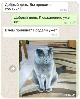 Комментарий с изображением на AdMe.Media