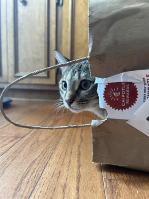 Комментарий с изображением на AdMe.Media