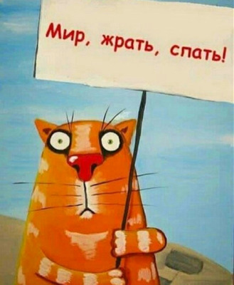 Комментарий с изображением на AdMe.Media