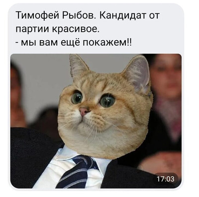 Комментарий с изображением на AdMe.Media