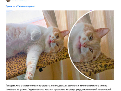 Комментарий с изображением на AdMe.Media