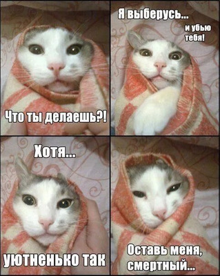 Комментарий с изображением на AdMe.Media