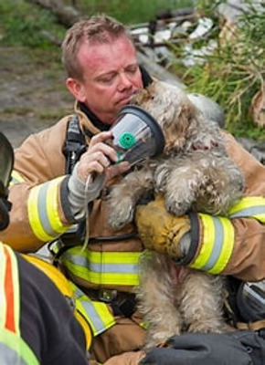 Комментарий с изображением на AdMe.Media