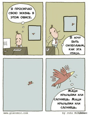 Комментарий с изображением на AdMe.Media