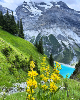 Комментарий с изображением на AdMe.Media