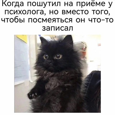 Комментарий с изображением на AdMe.Media