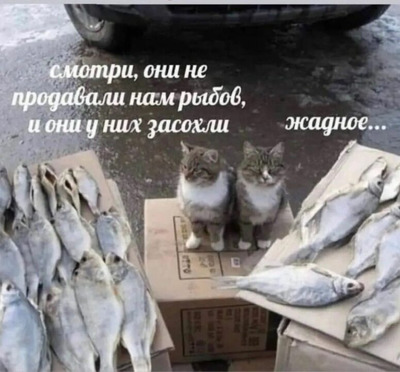 Комментарий с изображением на AdMe.Media