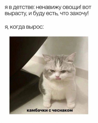 Комментарий с изображением на AdMe.Media