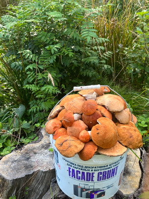 Комментарий с изображением на AdMe.Media