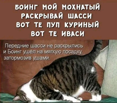 Комментарий с изображением на AdMe.Media