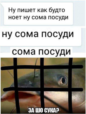 Комментарий с изображением на AdMe.Media