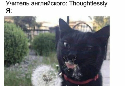 Комментарий с изображением на AdMe.Media