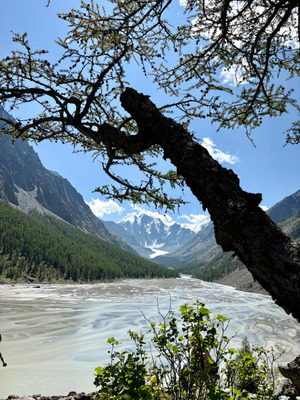Комментарий с изображением на AdMe.Media