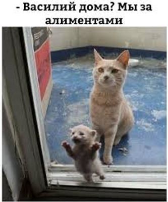 Комментарий с изображением на AdMe.Media
