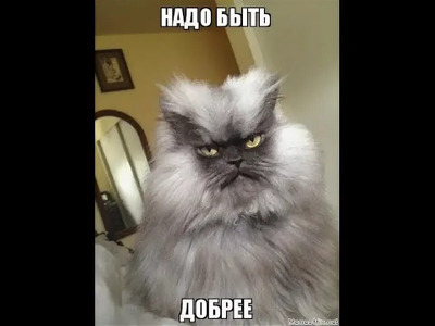 Комментарий с изображением на AdMe.Media
