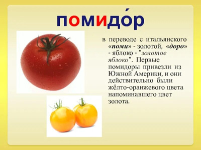 Комментарий с изображением на AdMe.Media