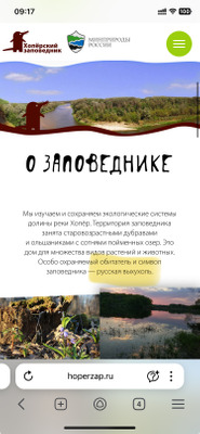 Комментарий с изображением на AdMe.Media