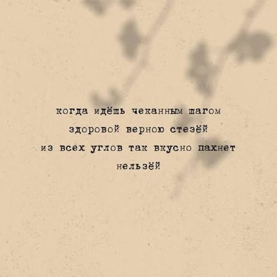 Комментарий с изображением на AdMe.Media