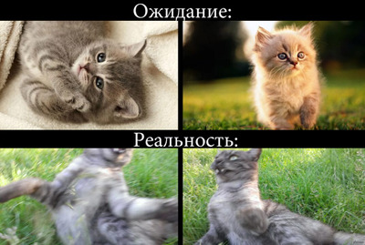 Комментарий с изображением на AdMe.Media