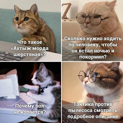 Комментарий с изображением на AdMe.Media
