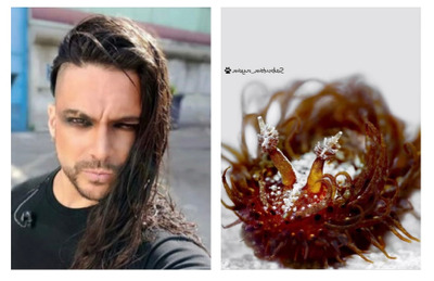 Комментарий с изображением на AdMe.Media