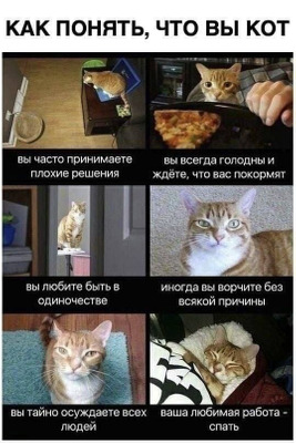 Комментарий с изображением на AdMe.Media