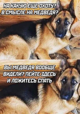 Комментарий с изображением на AdMe.Media