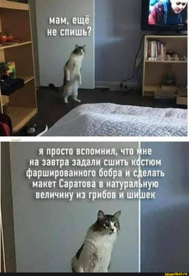 Комментарий с изображением на AdMe.Media