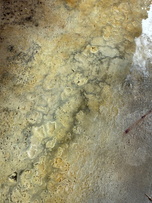 Комментарий с изображением на AdMe.Media