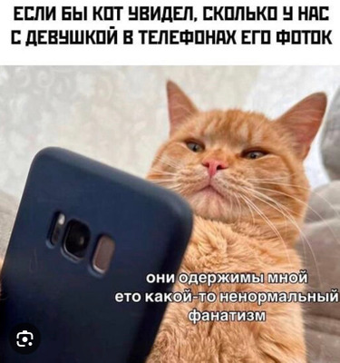 Комментарий с изображением на AdMe.Media