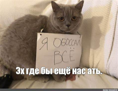 Комментарий с изображением на AdMe.Media