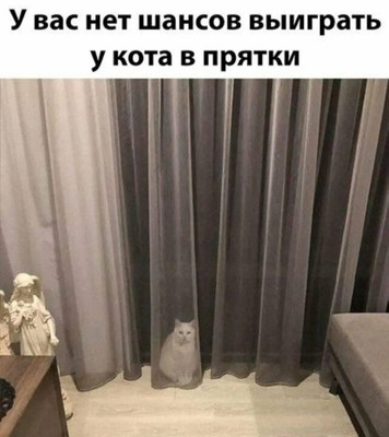 Комментарий с изображением на AdMe.Media