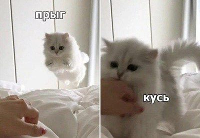 Комментарий с изображением на AdMe.Media