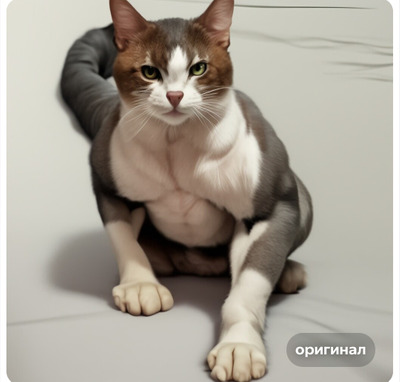 Комментарий с изображением на AdMe.Media