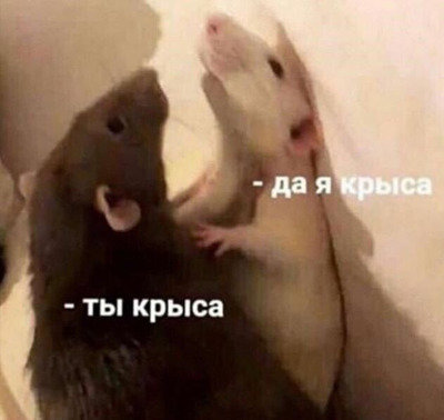 Комментарий с изображением на AdMe.Media