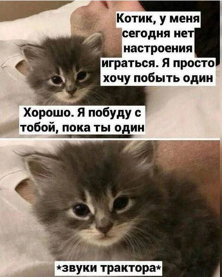 Комментарий с изображением на AdMe.Media